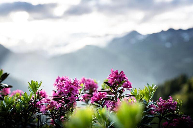 Quality Hosts Arlberg - Afoch Fei - Das Landhaus サンクト・アントン・アム・アールベルク エクステリア 写真